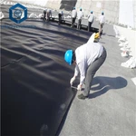 Leinin Pyllau Geomembrane HDPE Ar gyfer Pyllau Ffermio Pysgod