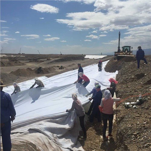 Leinin HDPE ar gyfer Llyn Artiffisial